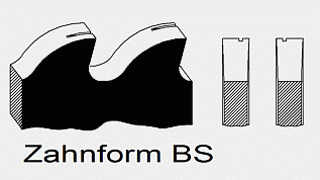 TZ Zahnform BS