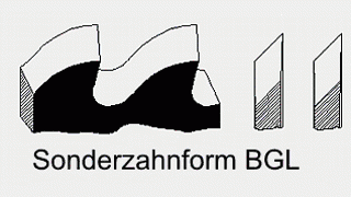 TZ Zahnform Bogenzahn links